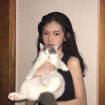 疯狂炮击手手机版下载